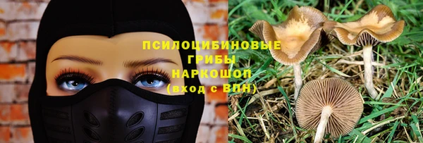 mdpv Иннополис